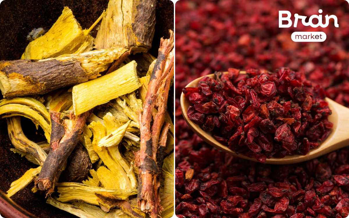 dvojfotka berberin dva